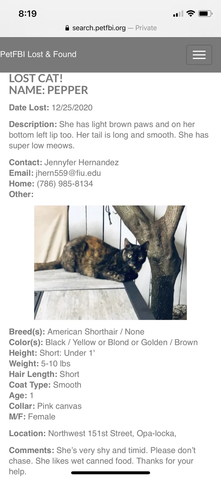 Lost cat in Opa Locka, FL, 33054