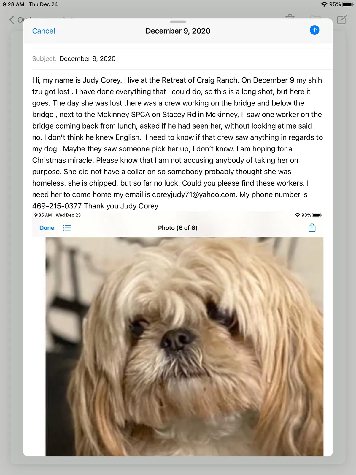 Lost dog in Mckinney, TX, 75070
