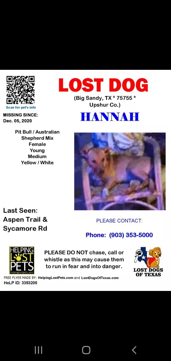 Lost dog in Big Sandy, TX, 75755