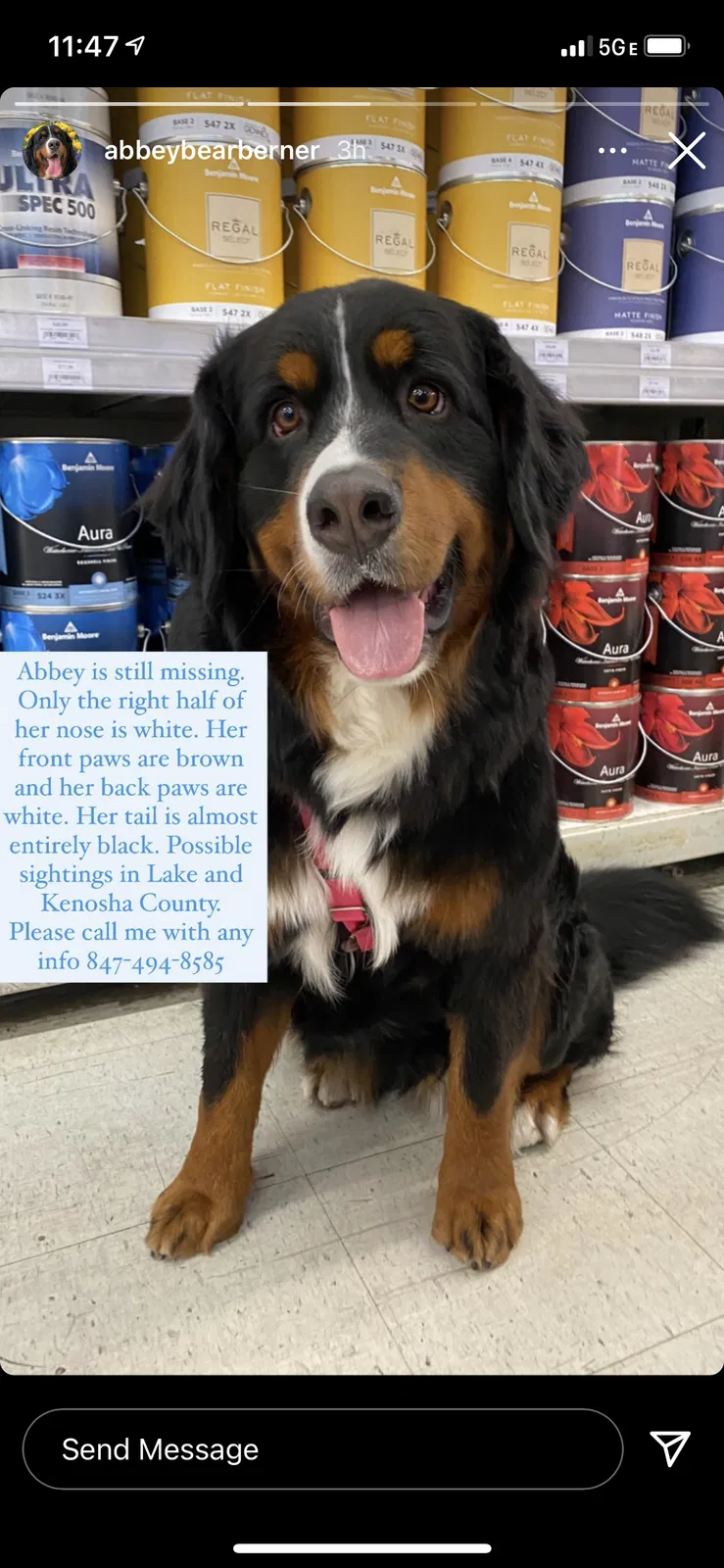 Lost dog in Twin Lakes, WI, 53181
