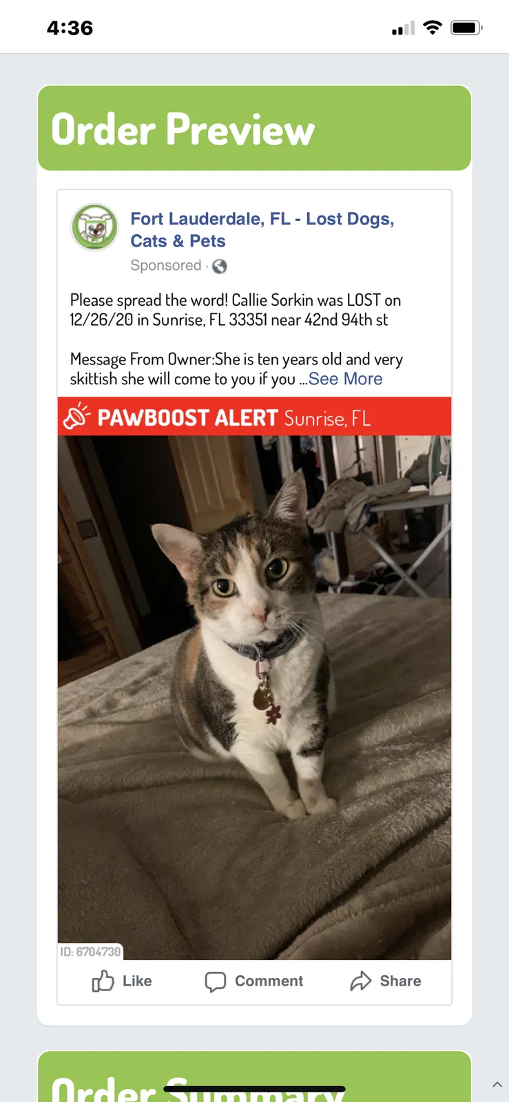 Lost cat in Fort Lauderdale, FL, 33351