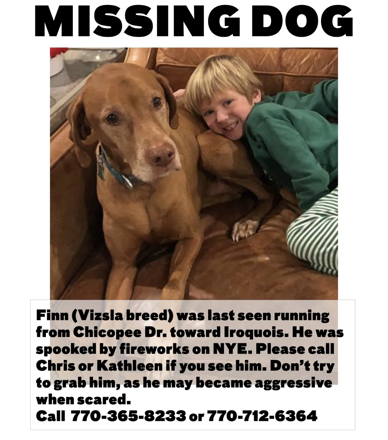 Lost dog in Marietta, GA, 30060
