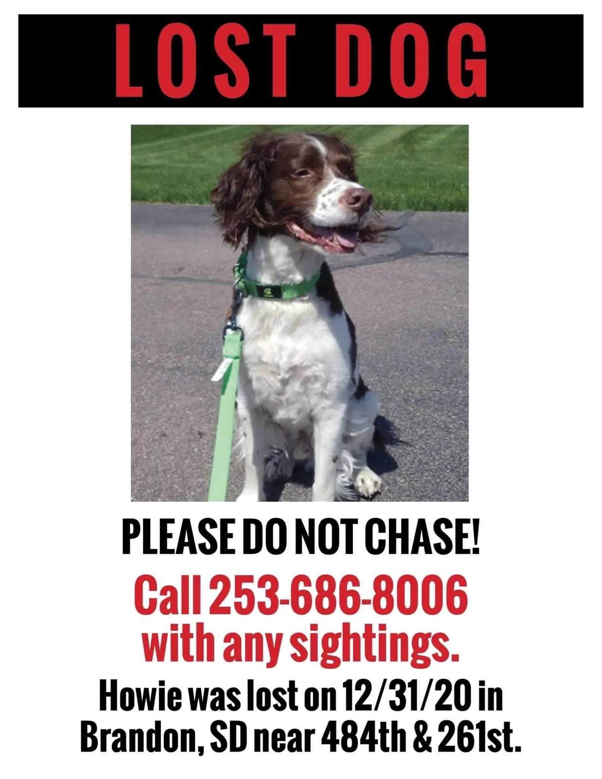 Lost dog in Valley Springs, SD, 57068