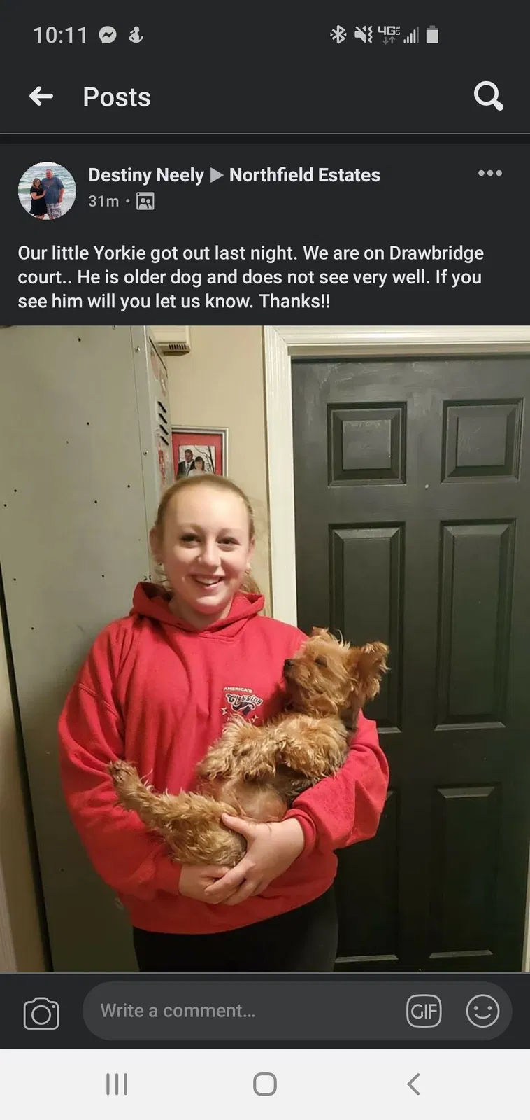 Lost dog in Powell, TN, 37849