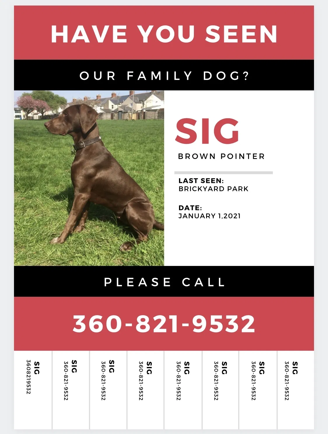 Lost dog in Vancouver, WA, 98660