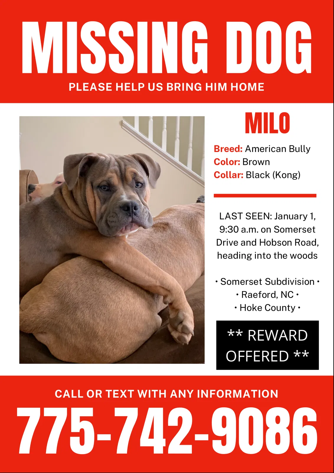 Lost dog in Raeford, NC, 28376