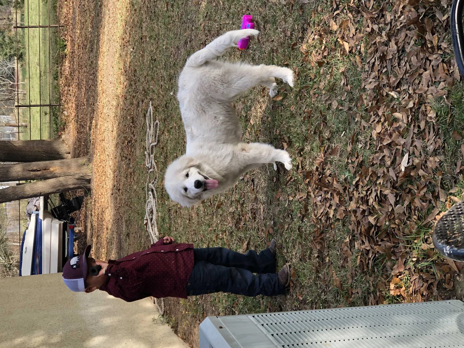 Lost dog in Longview, TX, 75604