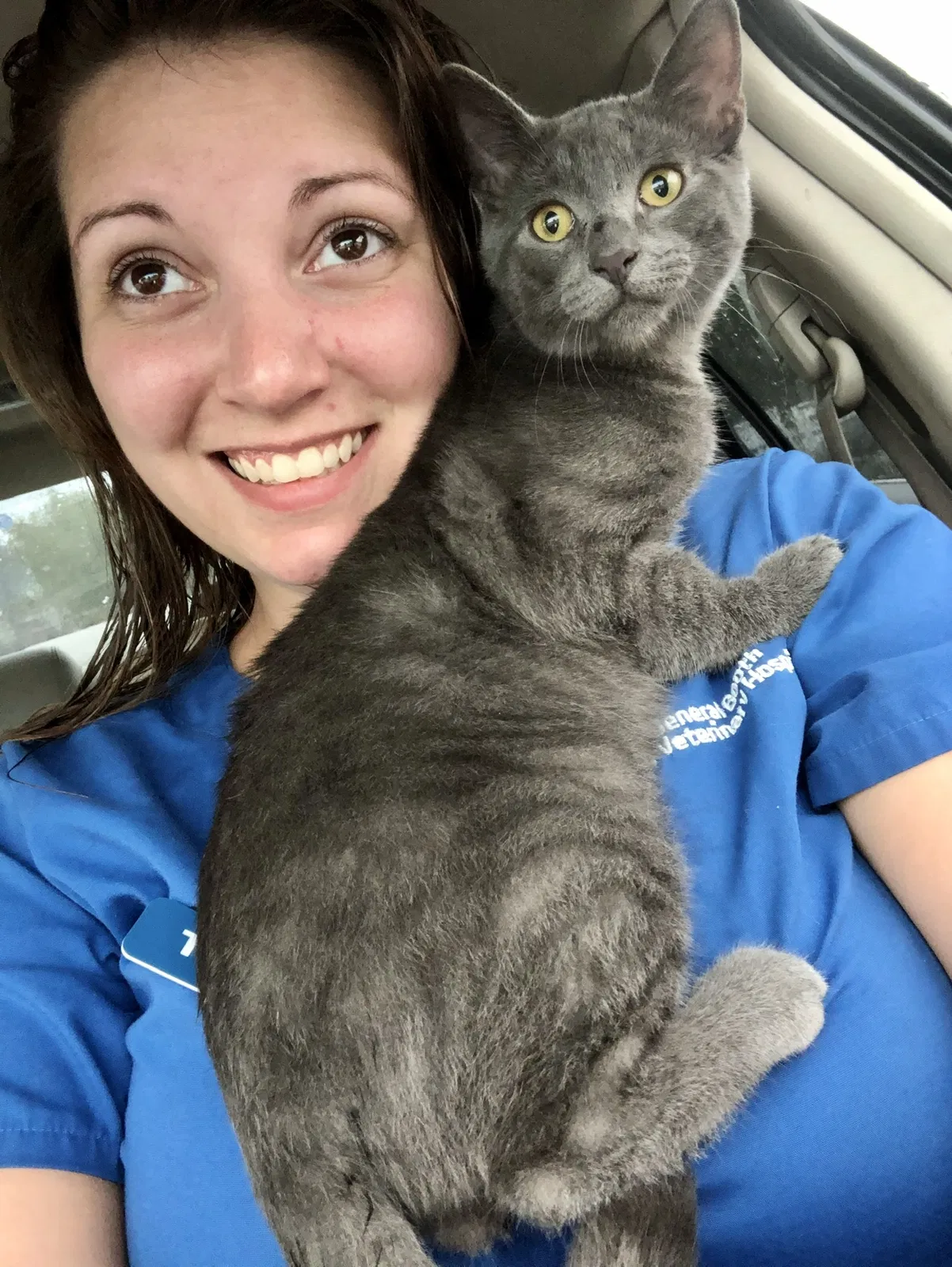 Lost cat in Norfolk, VA, 23502