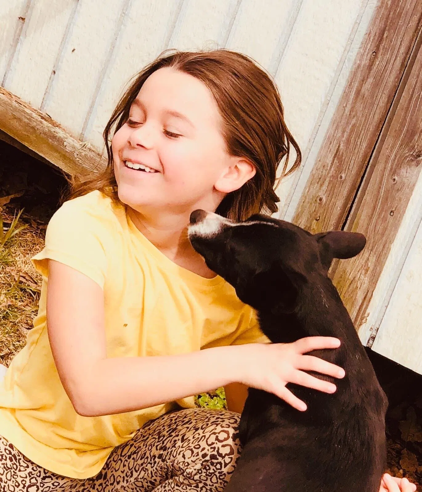 Lost dog in Fort Payne, AL, 35967