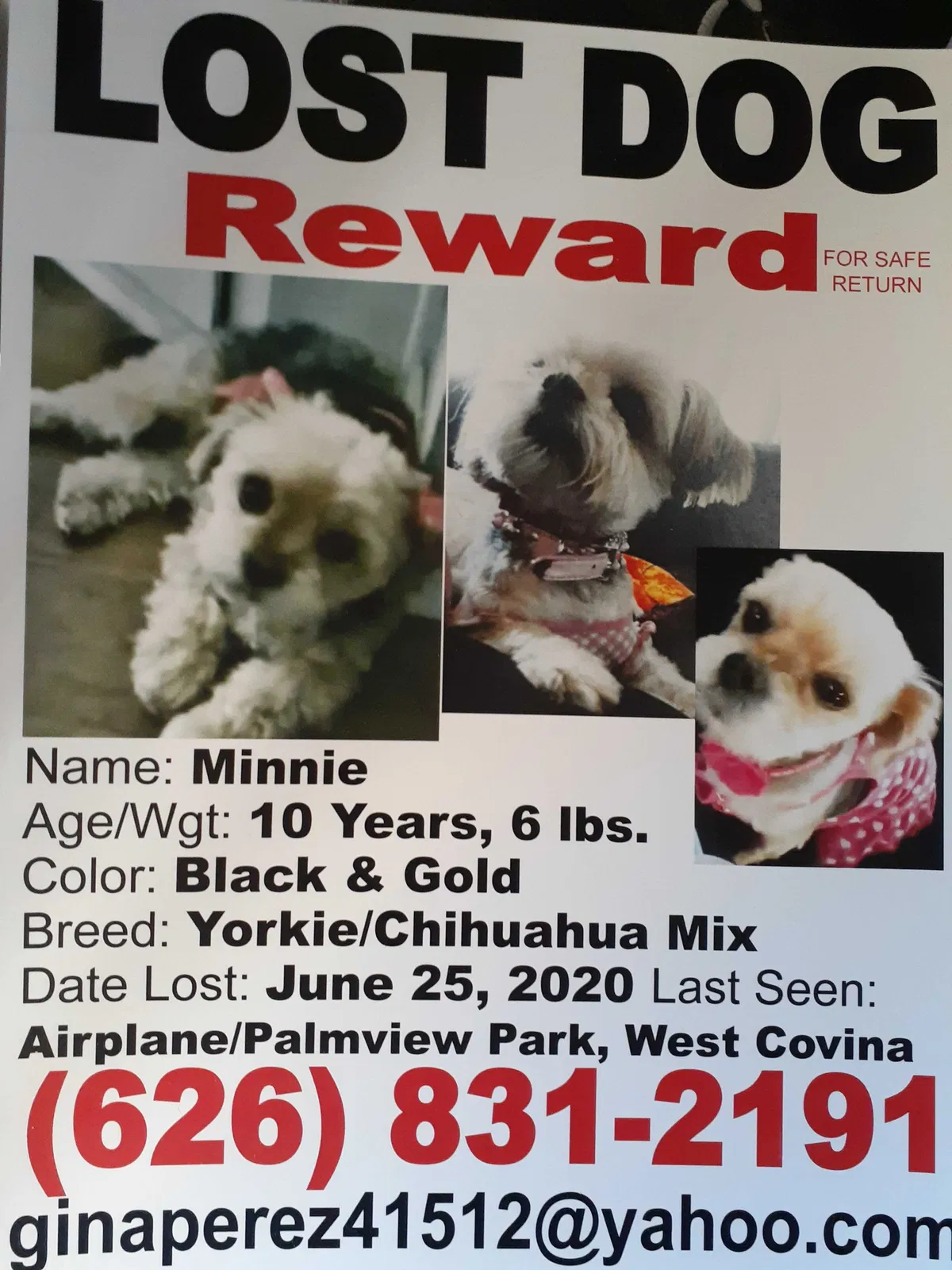 Lost dog in West Covina, CA, 91791