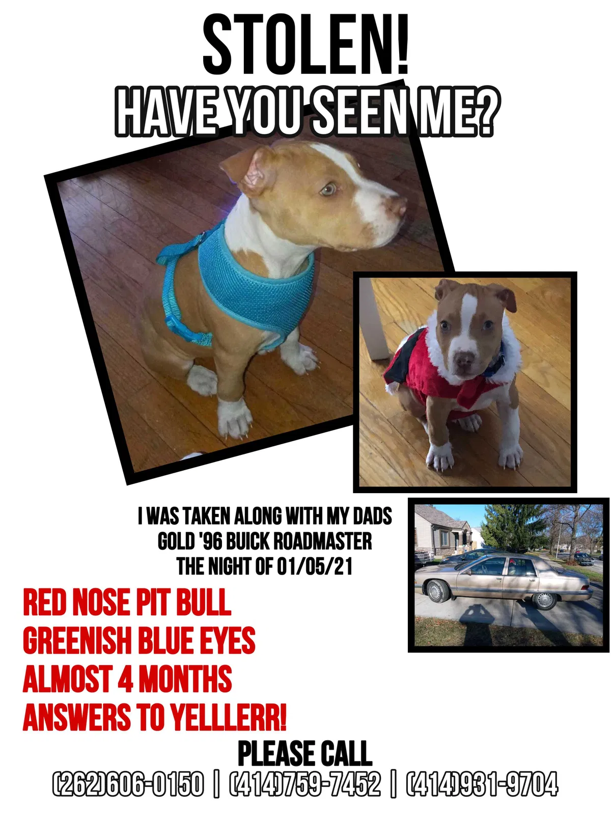Lost dog in Milwaukee, WI, 53215