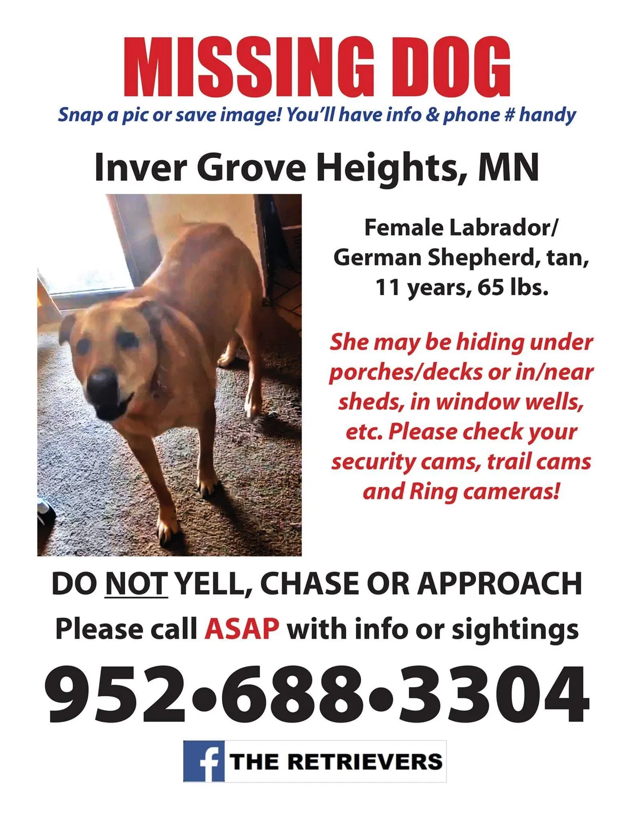 Lost dog in Inver Grove Heights, MN, 55076