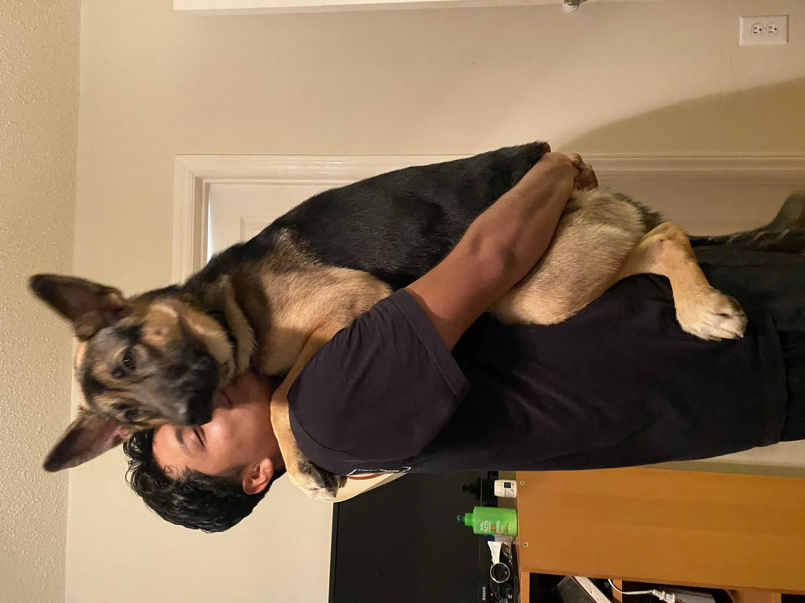Lost dog in Shannon, NC, 28386