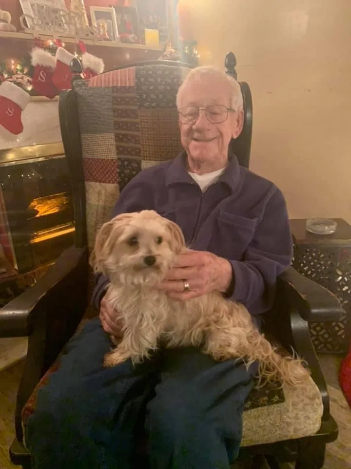 Lost dog in Rochester, NY, 14610
