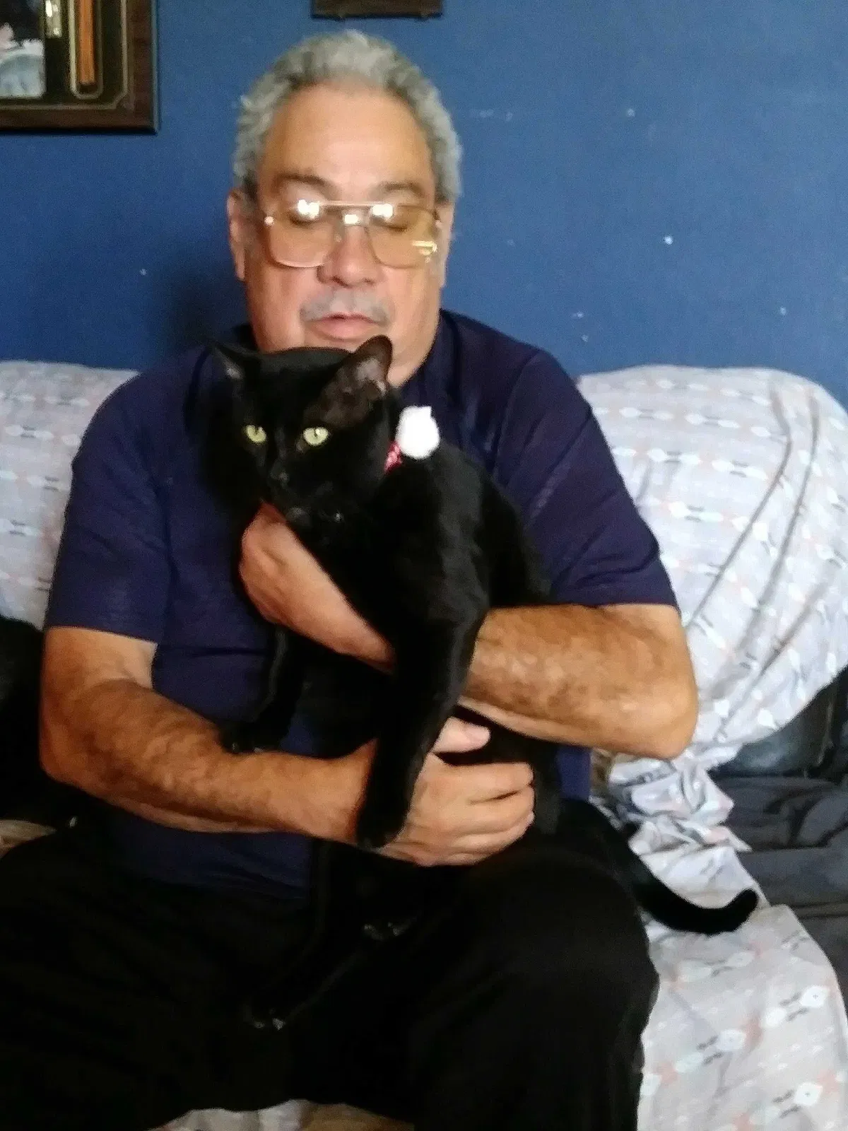 Lost cat in El Paso, TX, 79912