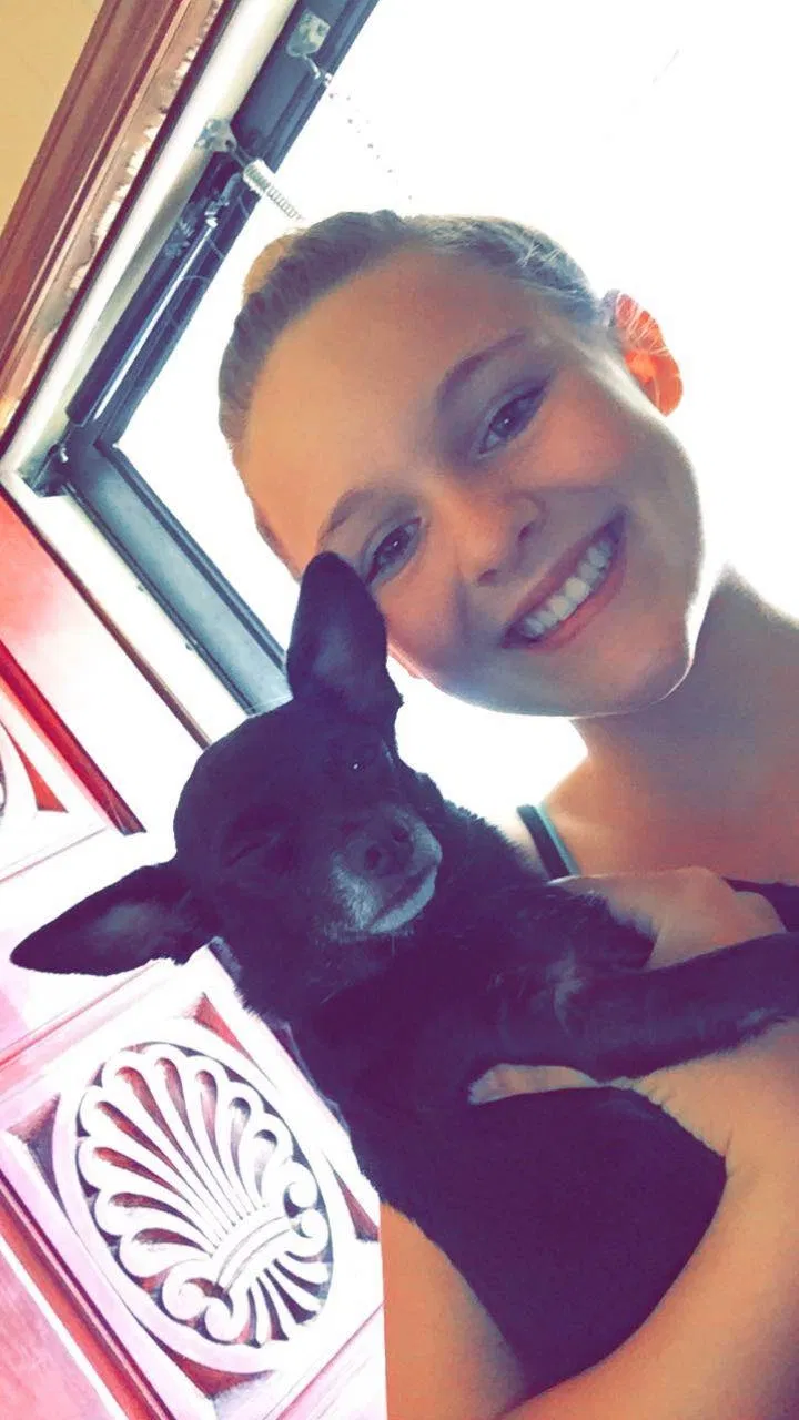 Lost dog in Tulsa, OK, 74115