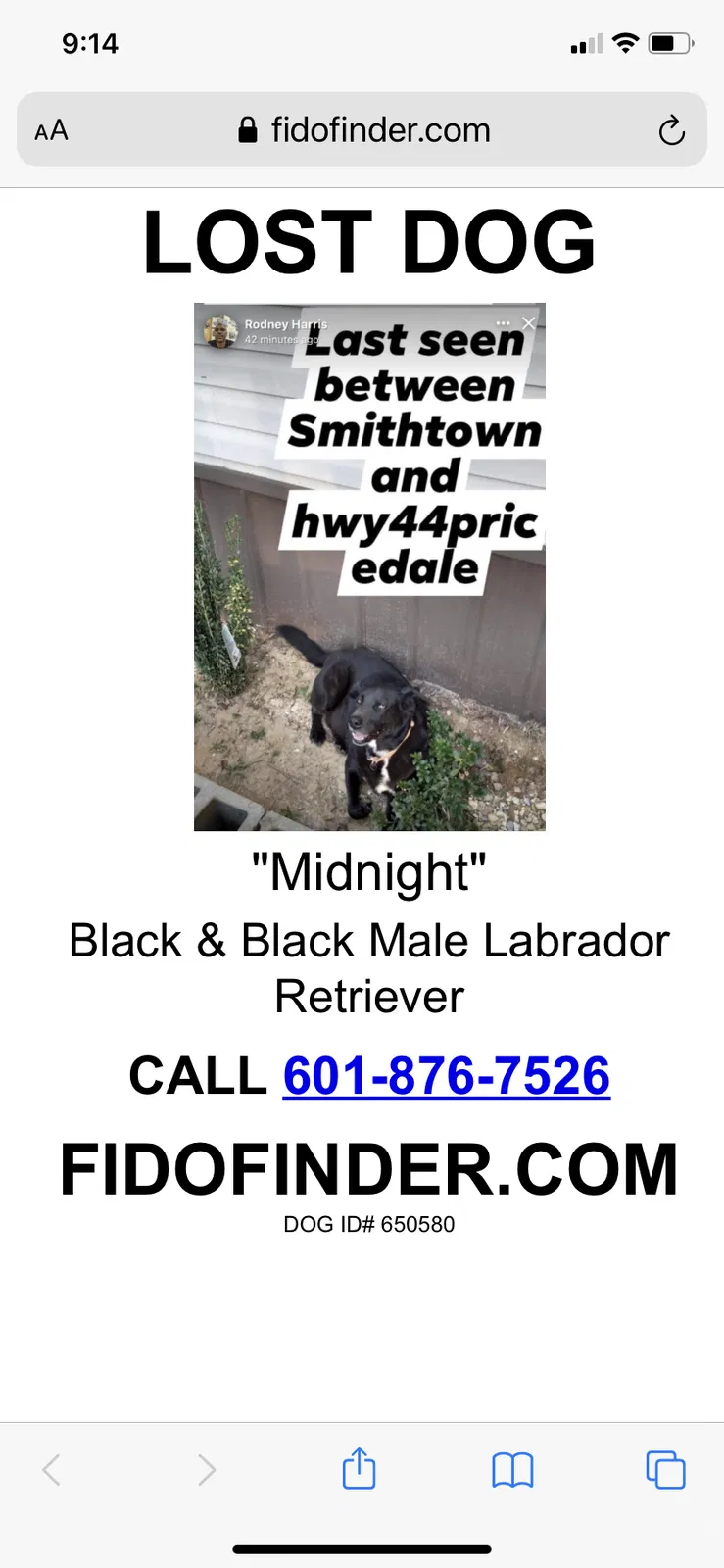 Lost dog in Tylertown, MS, 39667