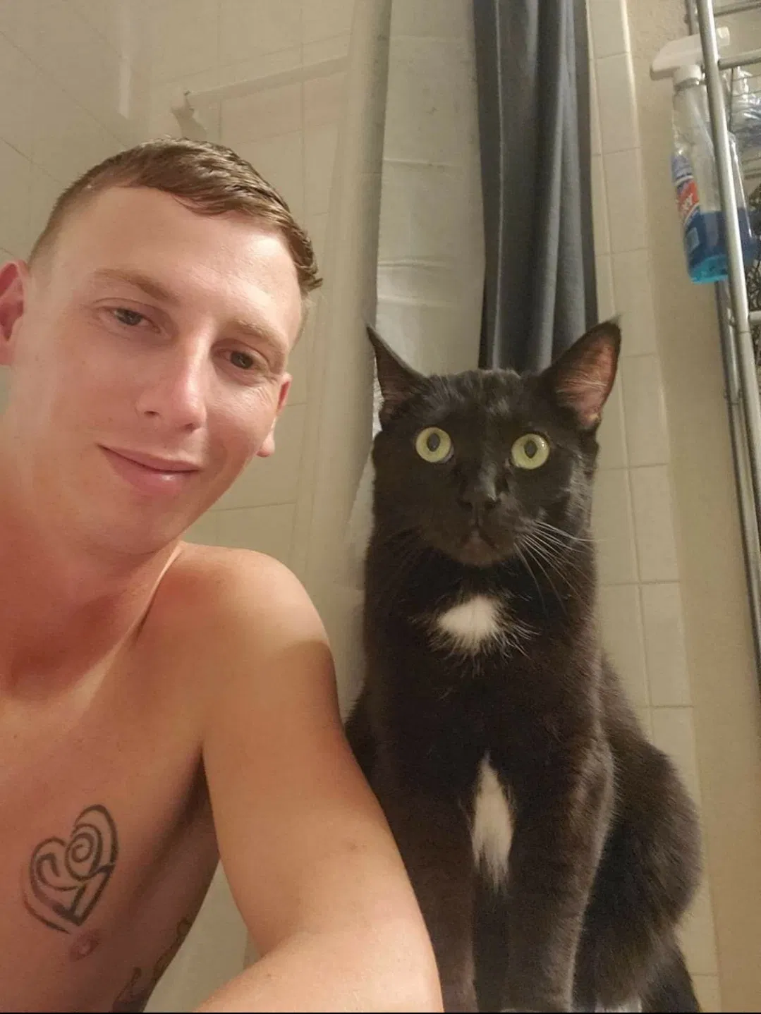 Lost cat in Clermont, FL, 34714