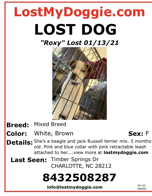 Lost dog in Charlotte, NC, 28212