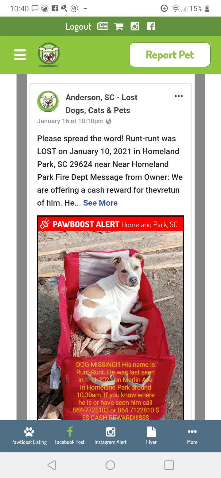 Lost dog in Anderson, SC, 29624