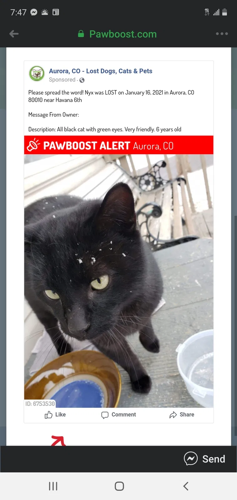 Lost cat in Aurora, CO, 80010