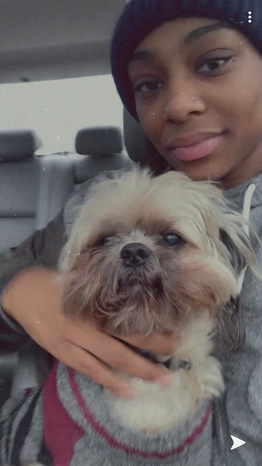 Lost dog in Saint Louis, MO, 63134
