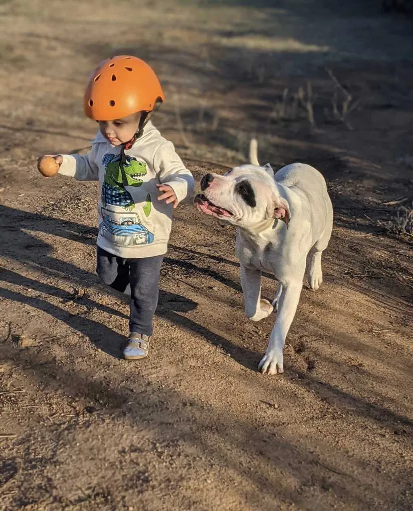 Lost dog in Sacramento, CA, 95824