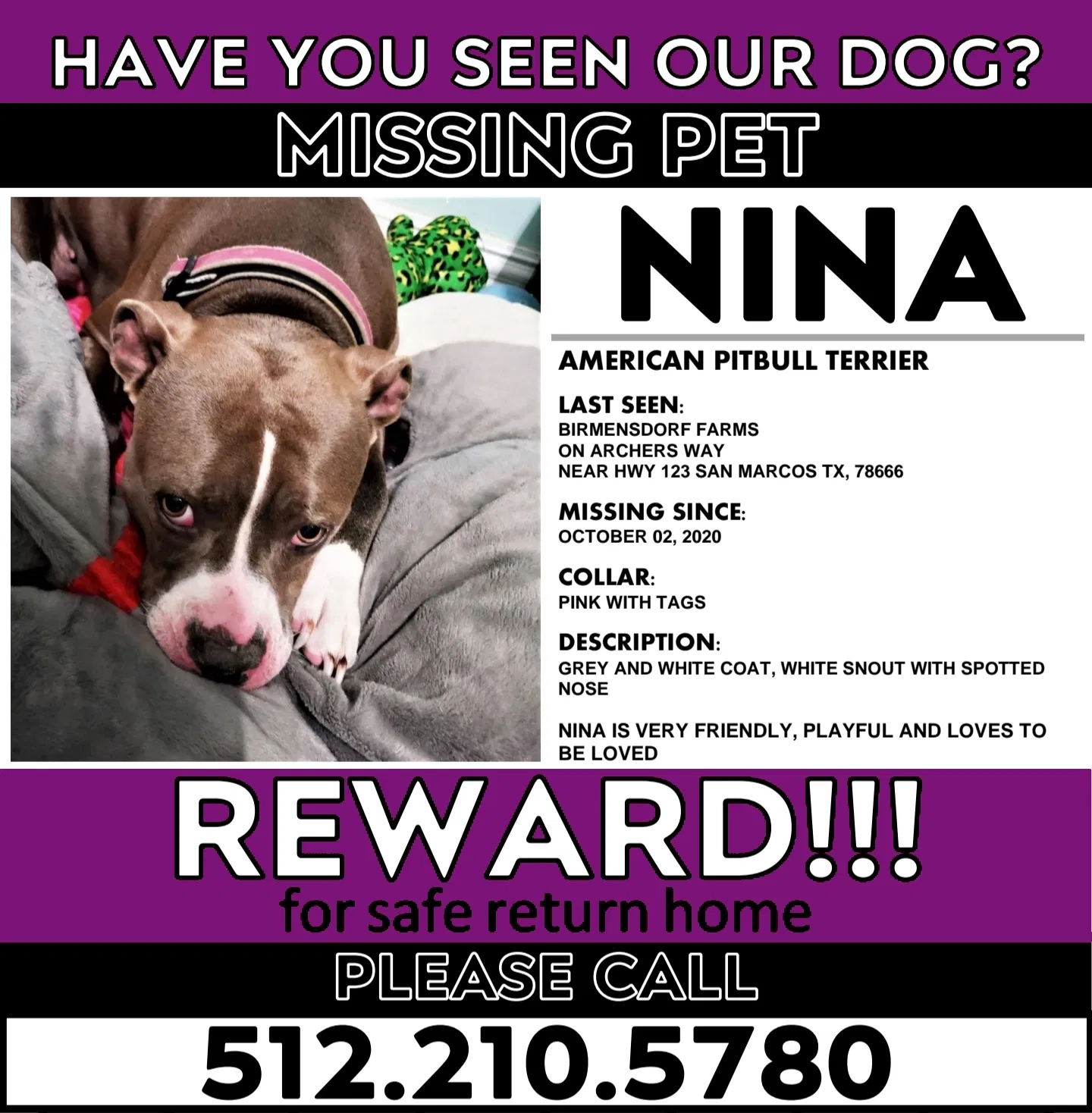 Lost dog in San Marcos, TX, 78666