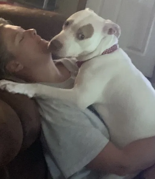 Lost dog in Shreveport, LA, 71106
