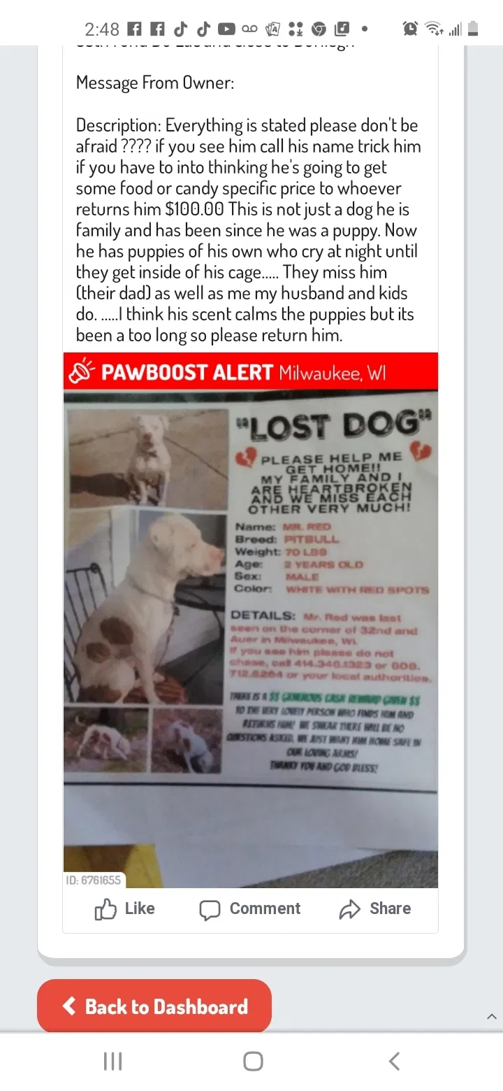 Lost dog in Milwaukee, WI, 53216