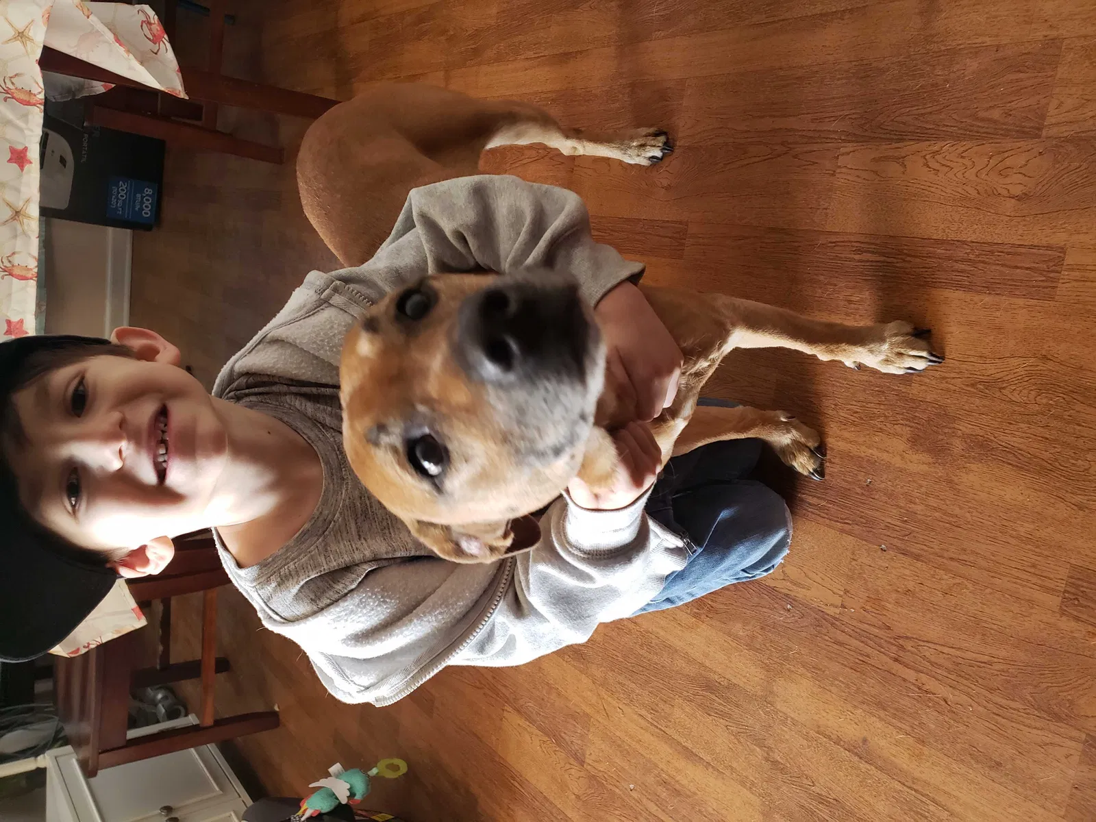 Found dog in Murrells Inlet, SC, 29576