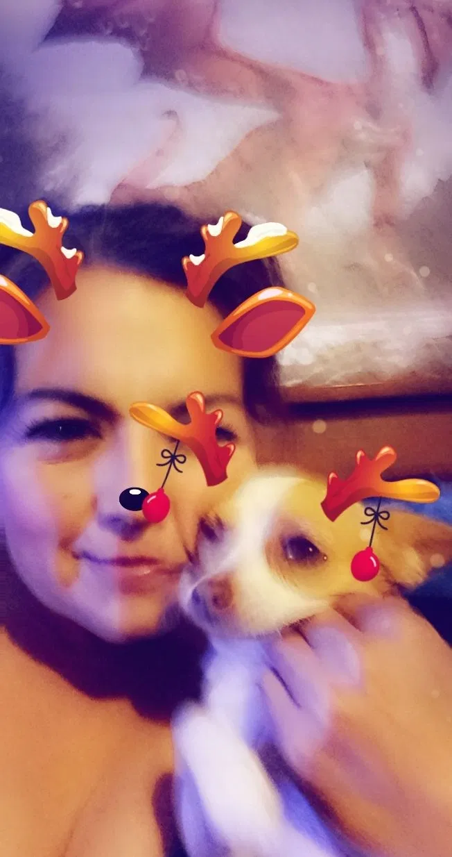 Lost dog in Lubbock, TX, 79412