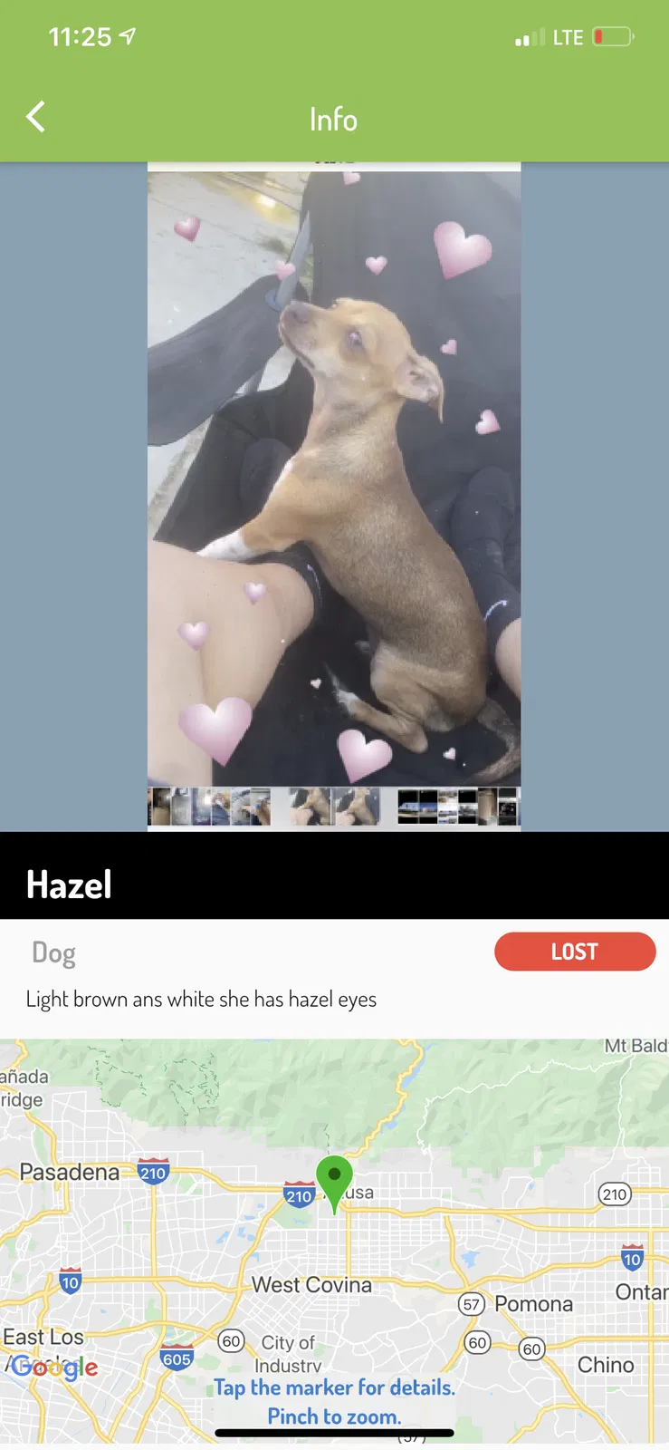 Lost dog in Baldwin Park, CA, 91706
