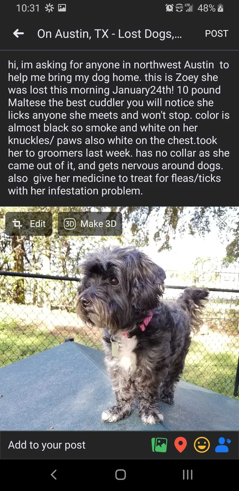 Lost dog in Austin, TX, 78759