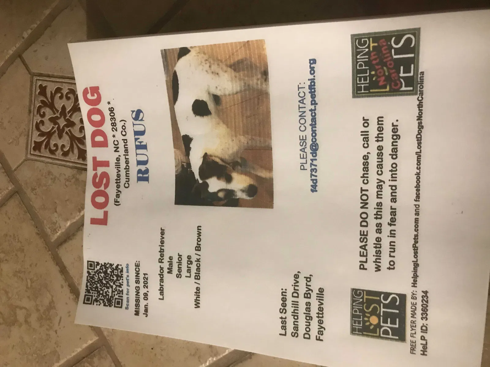 Lost dog in Fayetteville, NC, 28306