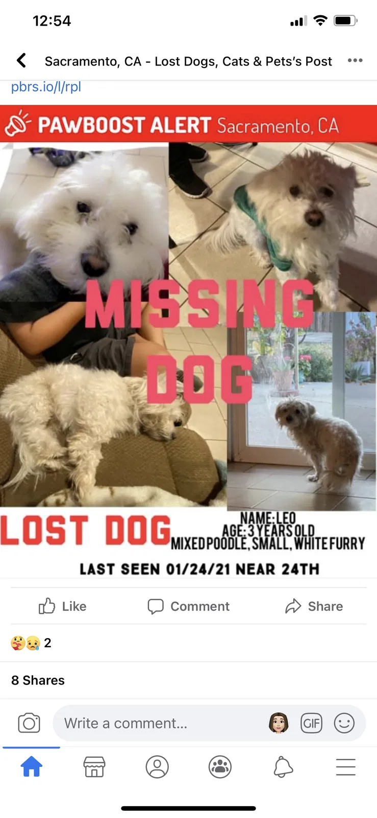 Lost dog in Sacramento, CA, 95832