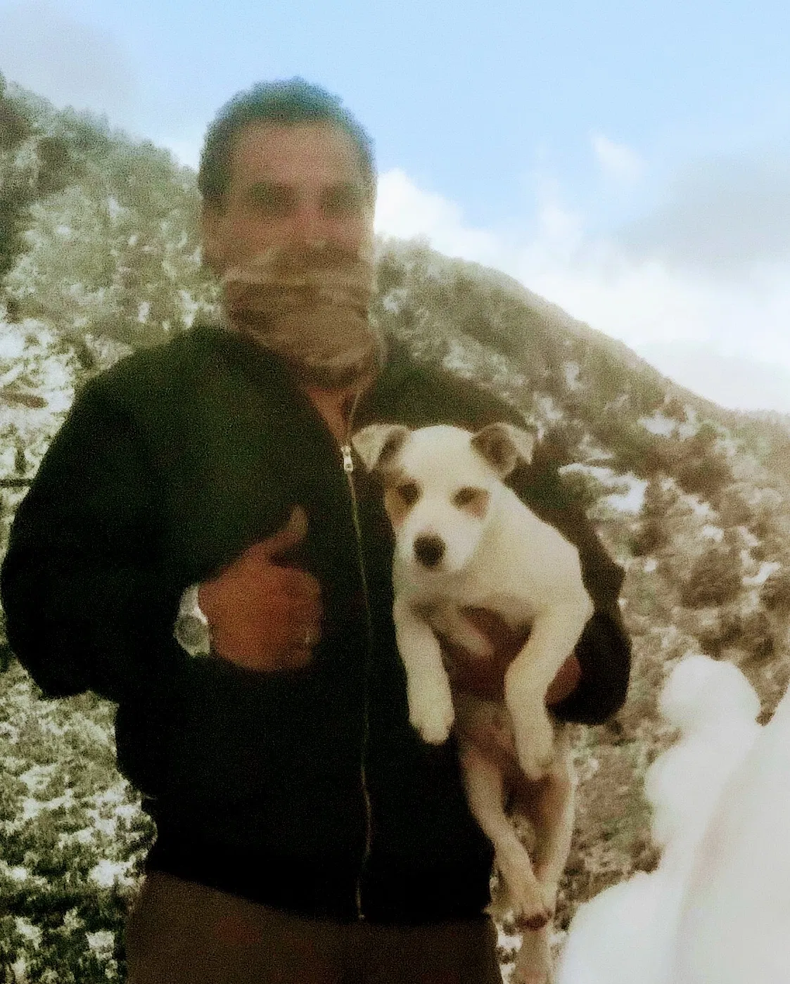 Lost dog in San Bernardino, CA, 92410