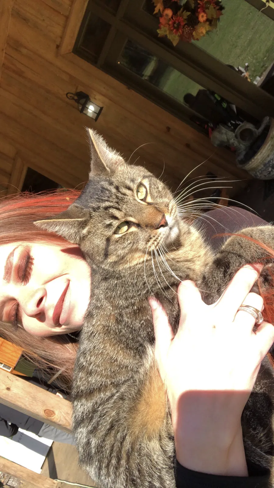 Lost cat in Gadsden, AL, 35903