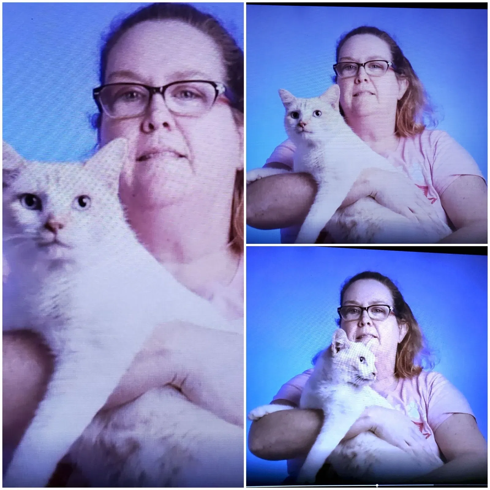Lost cat in Atoka, TN, 38004
