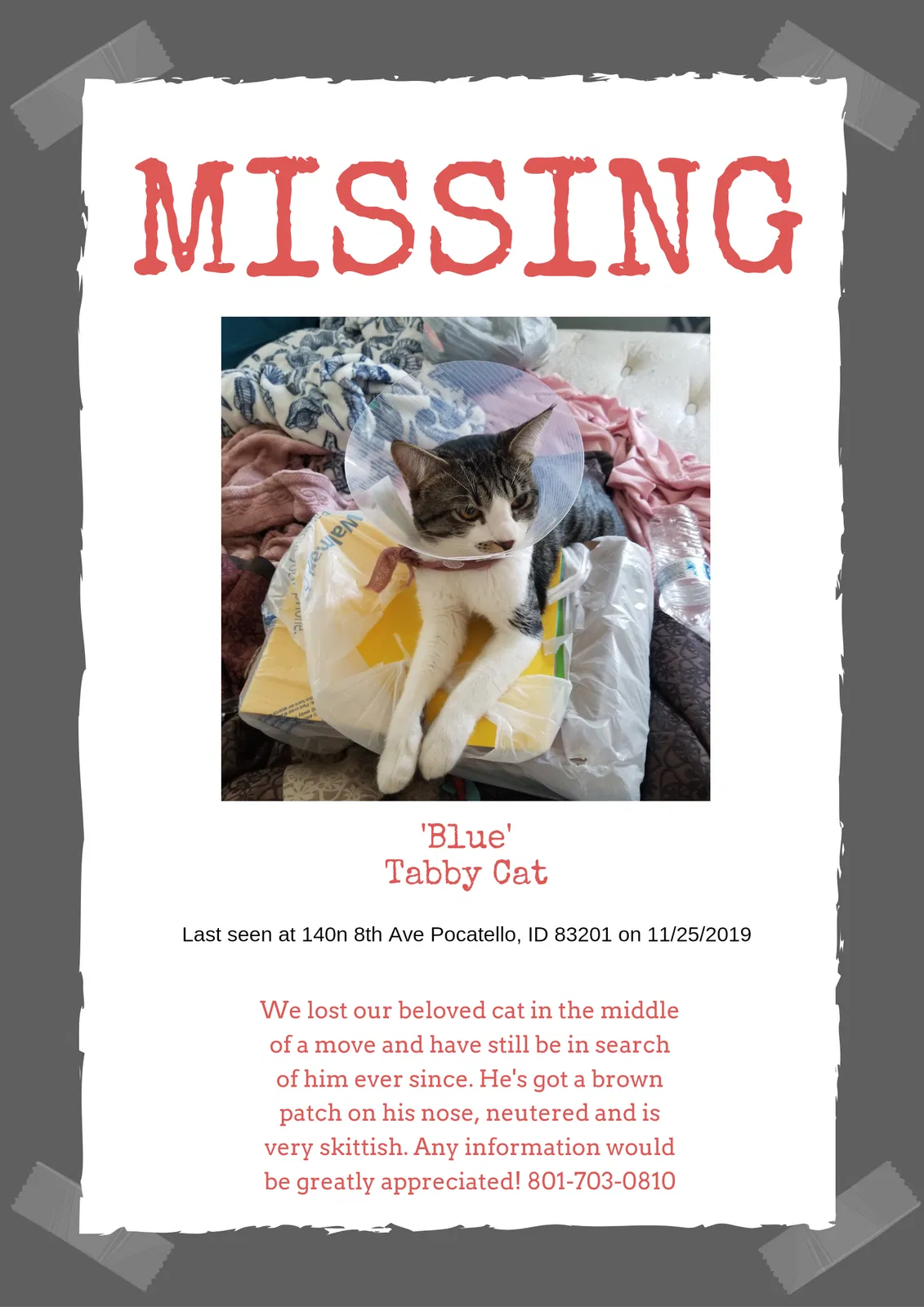 Lost cat in Pocatello, ID, 83201
