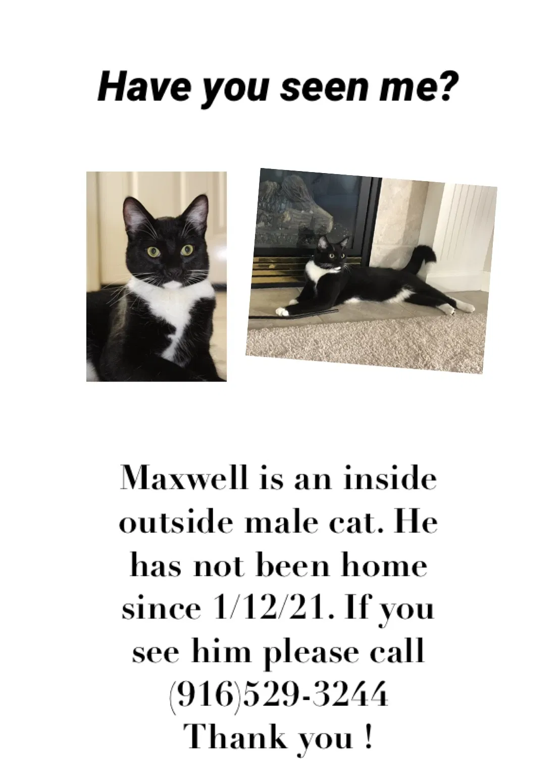 Lost cat in Redding, CA, 96002