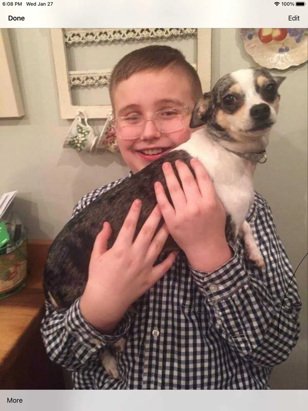 Lost dog in Portsmouth, OH, 45662