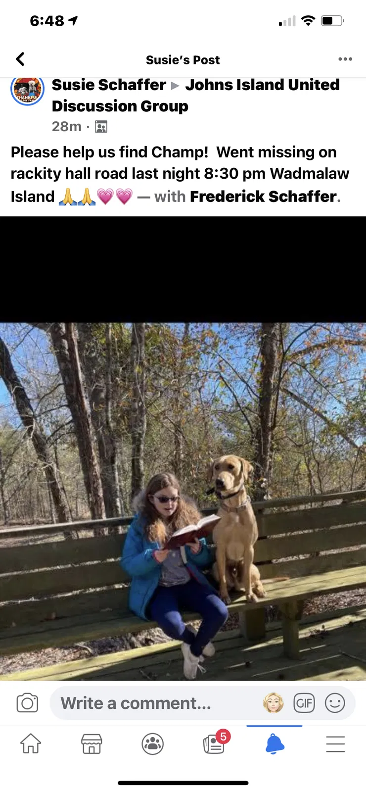 Lost dog in Wadmalaw Island, SC, 29487