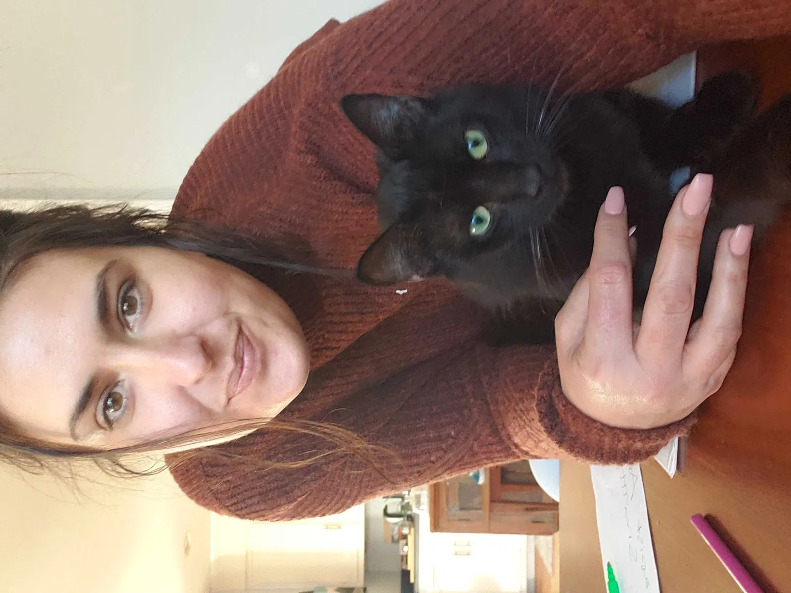 Lost cat in Travelers Rest, SC, 29690