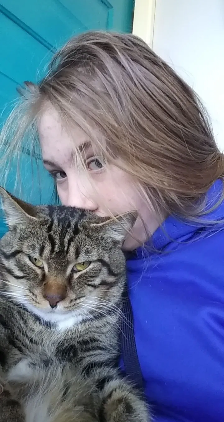 Lost cat in Maiden, NC, 28650