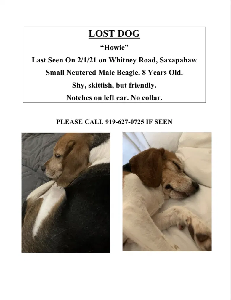 Lost dog in Graham, NC, 27253