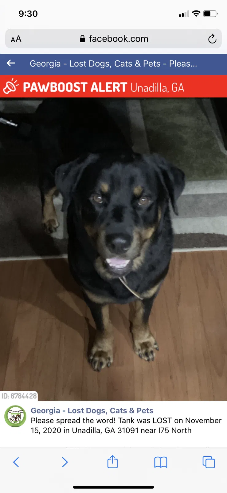 Lost dog in Unadilla, GA, 31091