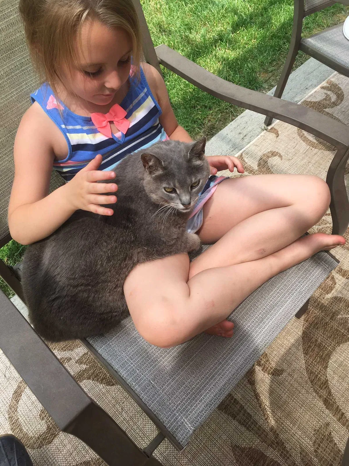 Lost cat in Cincinnati, OH, 45236