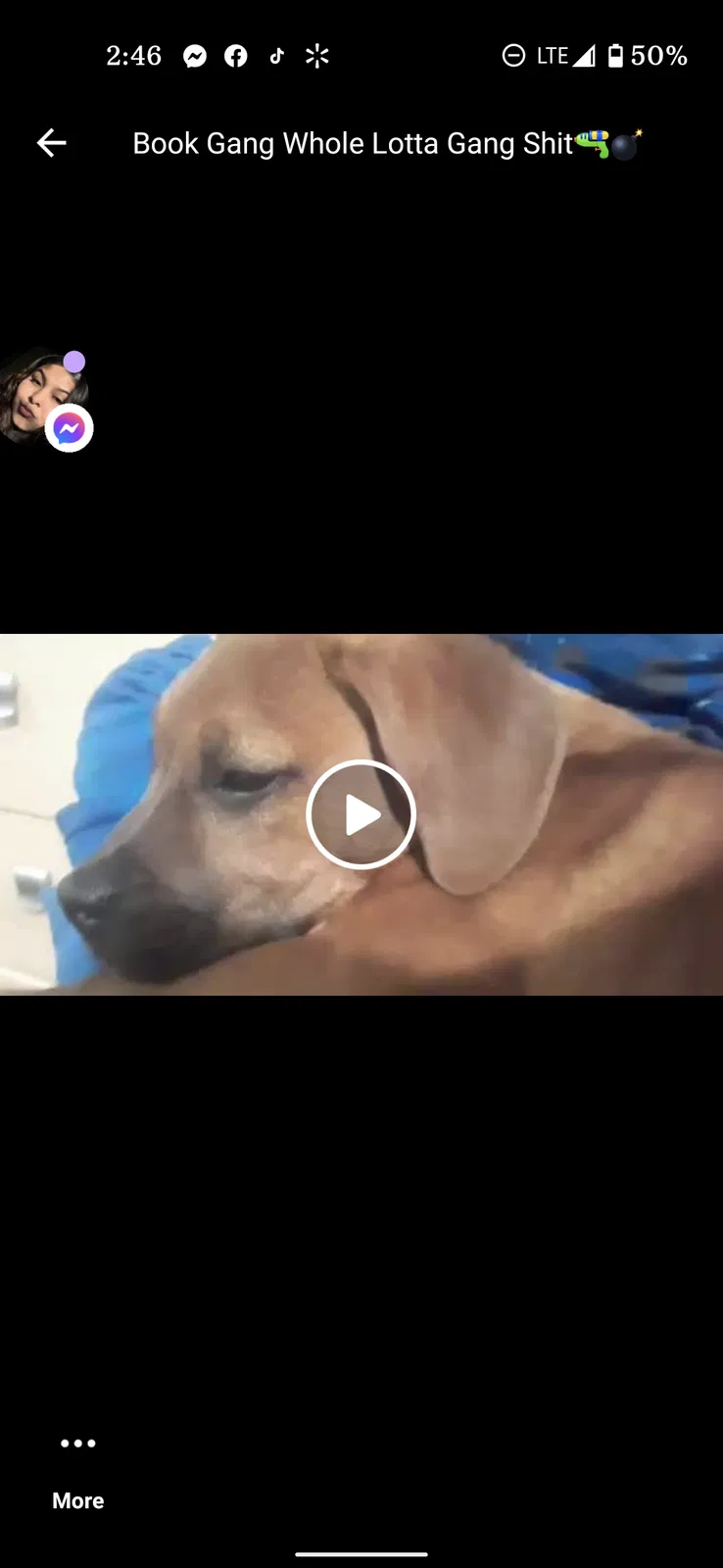 Lost dog in Phoenix, AZ, 85009