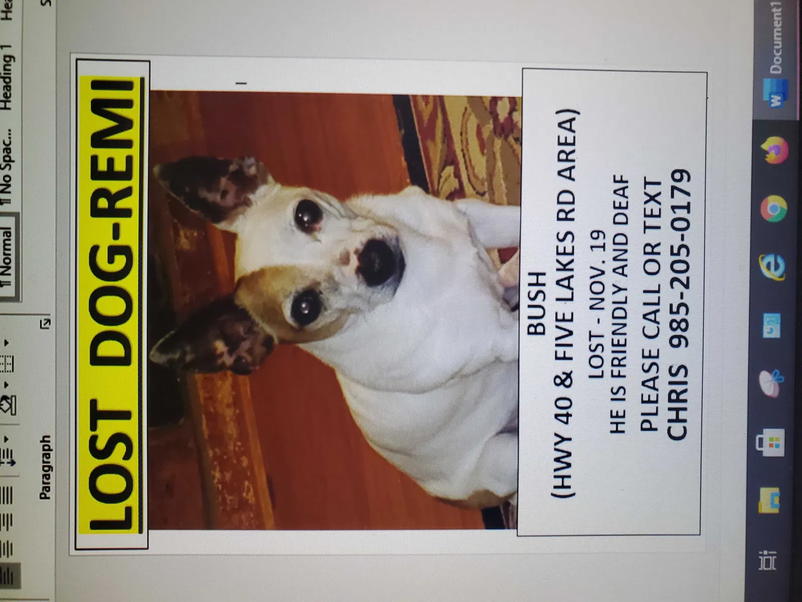 Lost dog in Bush, LA, 70431
